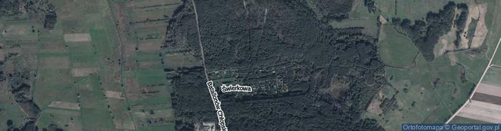 Zdjęcie satelitarne Grzybowa ul.